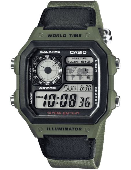 Casio D101